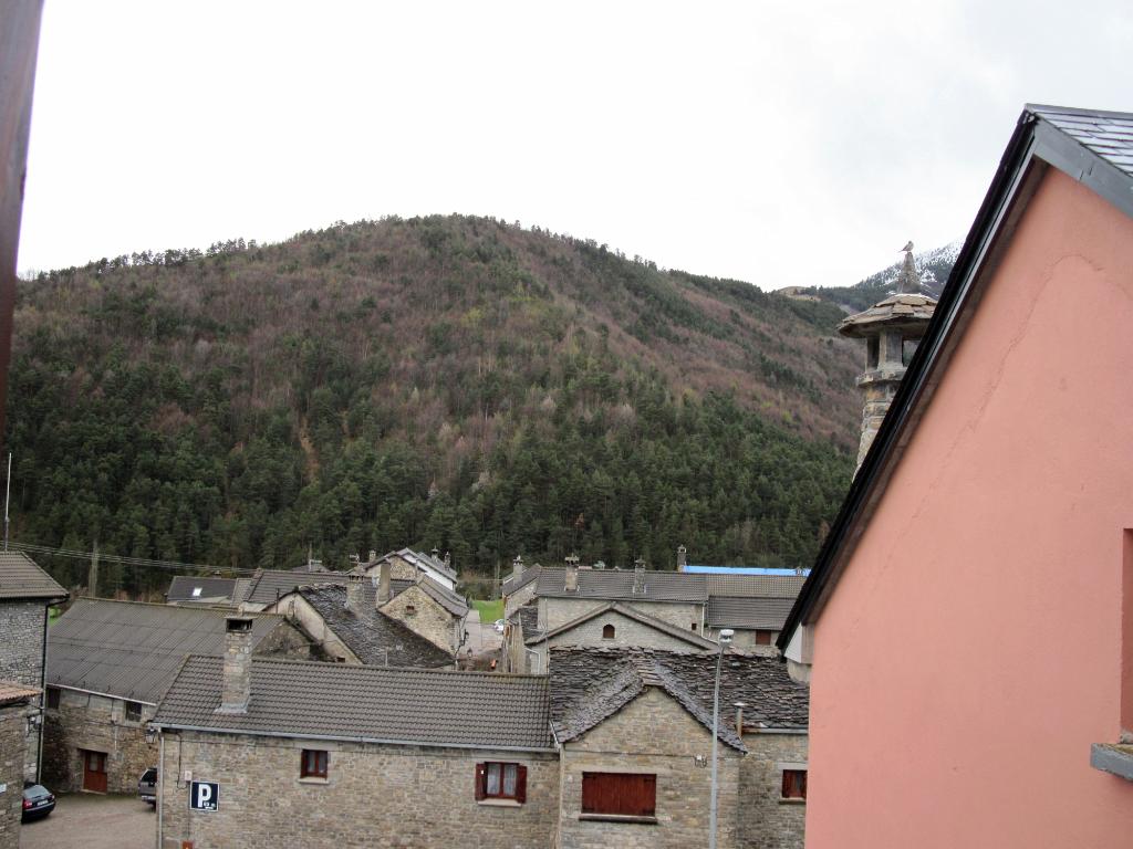 L'Ultimo Bucardo